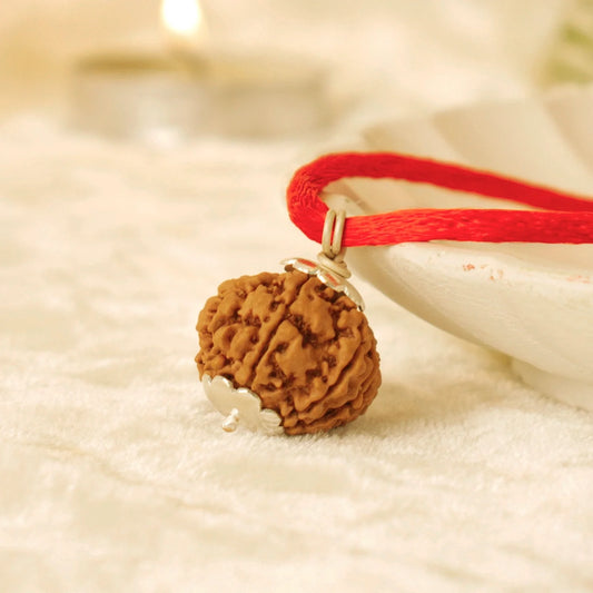Maha Lakshmi Siddh Nepal Origin 7 Mukhi Rudraksha